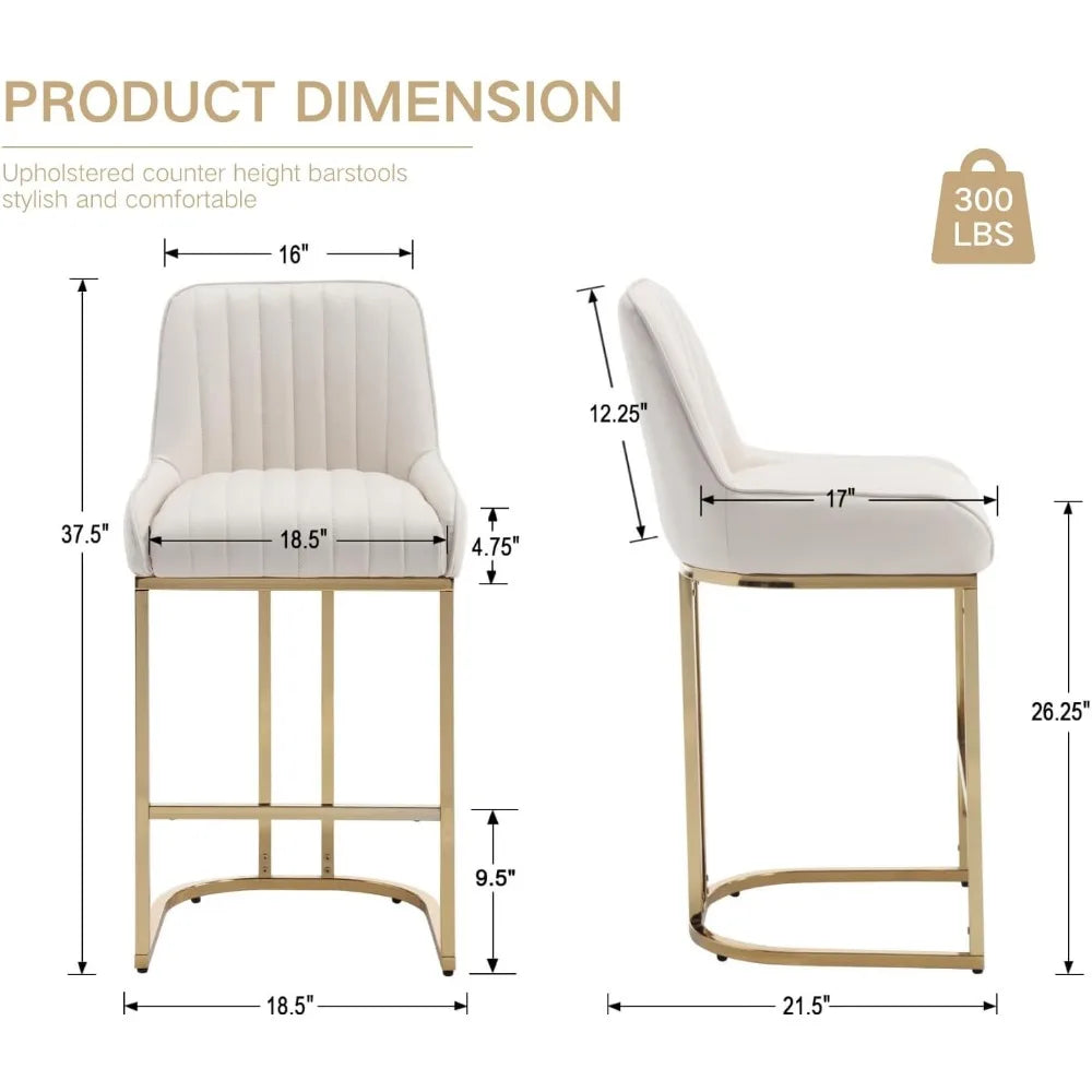 Set of 2 Modern Kitchen Counter Stools