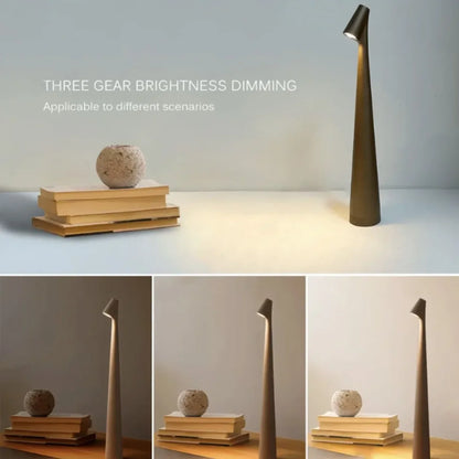 Ornamental Lights