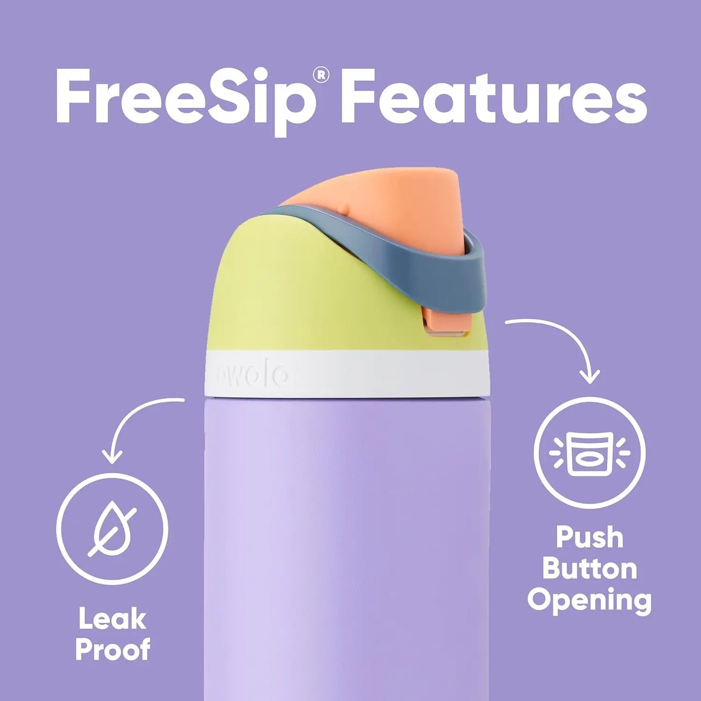 Stainless Steel Water Bottle with Straw,