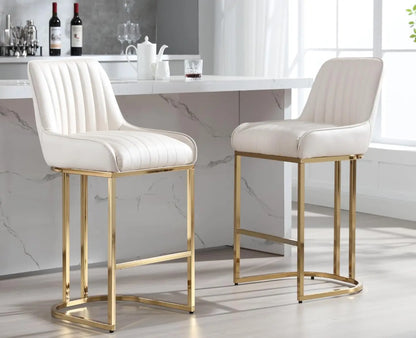 Set of 2 Modern Kitchen Counter Stools