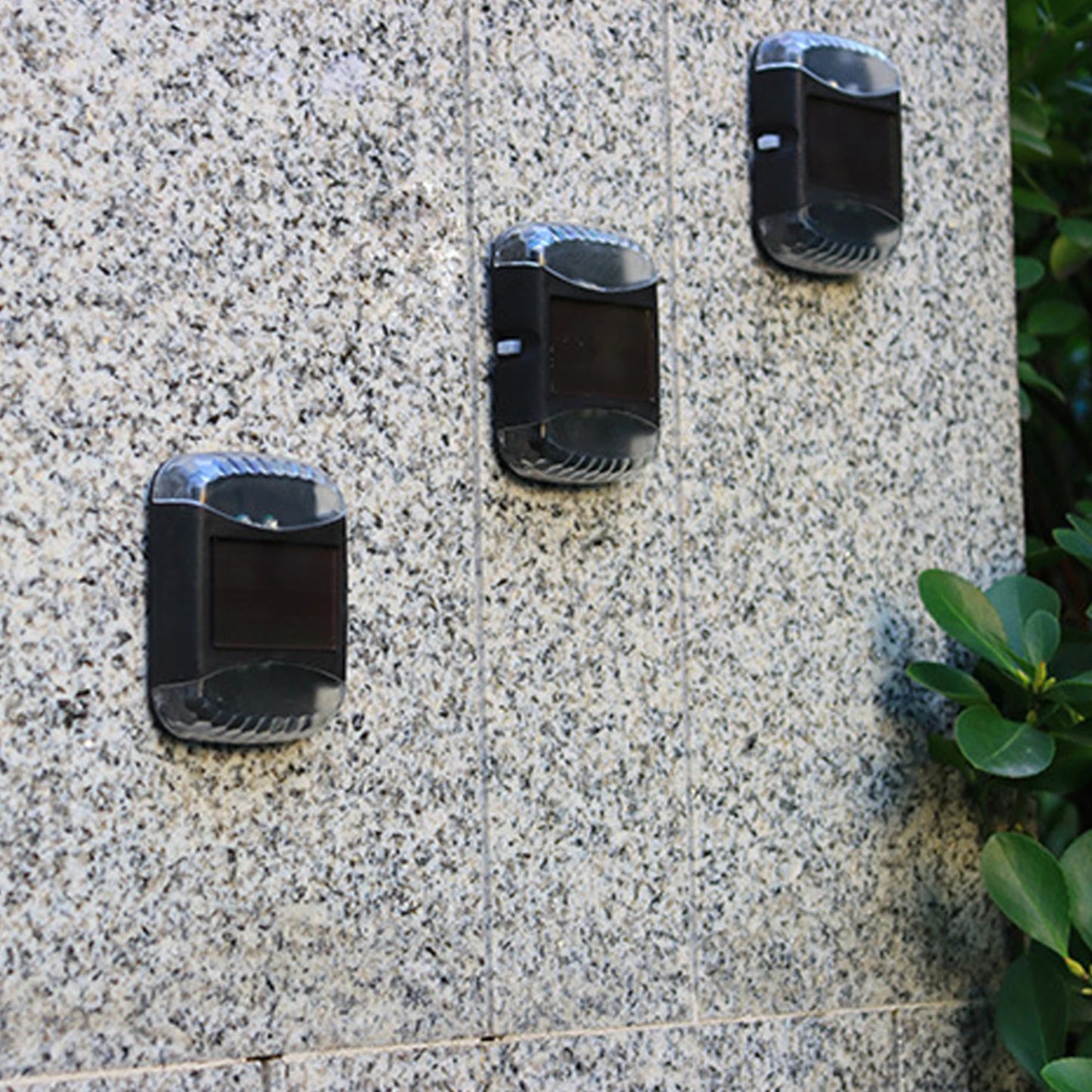 Garden Ambient Lighting