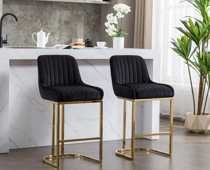 Set of 2 Modern Kitchen Counter Stools