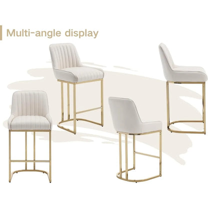 Set of 2 Modern Kitchen Counter Stools