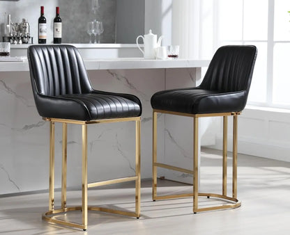 Set of 2 Modern Kitchen Counter Stools