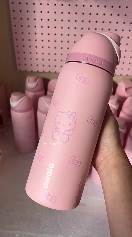 Stainless Steel Water Bottle with Straw,