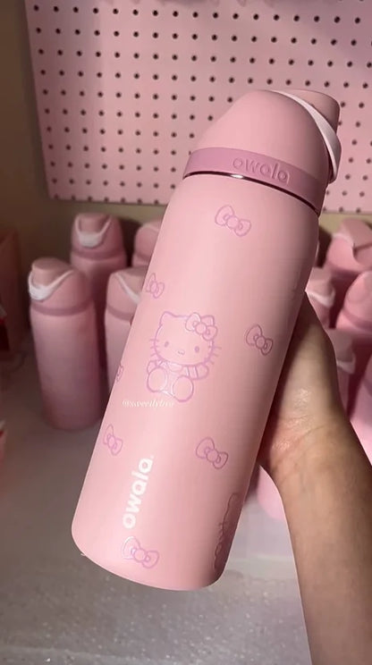 Stainless Steel Water Bottle with Straw,