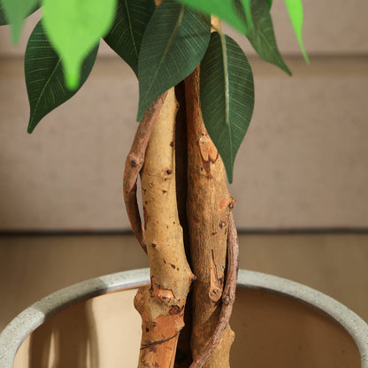 Fake Ficus Tree in Pot for Home Decor