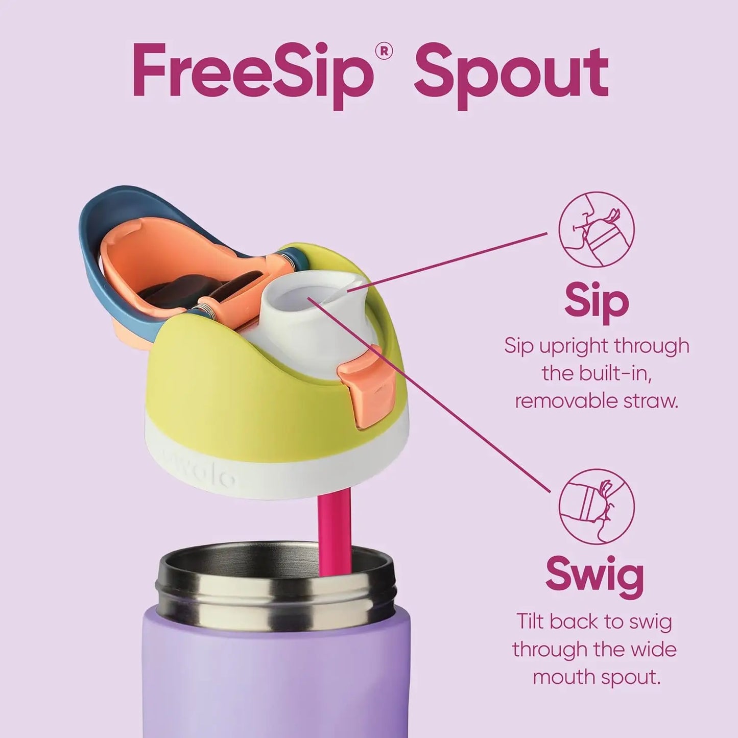 Stainless Steel Water Bottle with Straw,